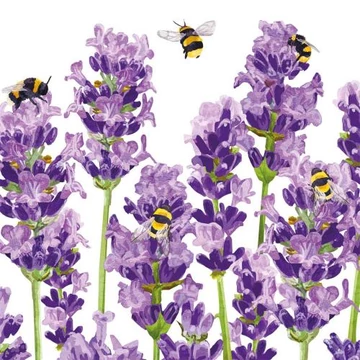Bees & Lavender papírszalvéta 33x33cm,20db-os, PPD.C1333956
