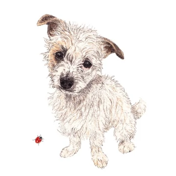 Omelette papírszalvéta 33x33cm,20db-os, PPD.C1334014 Omelette papírszalvéta 33x33cm,20db-os, PPD.C1334014