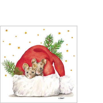 Get cozy papírszalvéta 25x25cm, 20db-os, PPD.B325002771