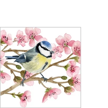 Oiseau Printemps papírszalvéta 33x33cm, 20db-os, PPD.C133002995