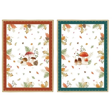 Konyharuhaszett 2db-os 50x70cm,100% pamut, Autumn Breeze, R2S.2634AUBR