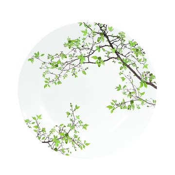Porcelán desszerttányér 19cm, dobozban, Natura , R2S.1083NTRA