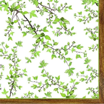 Papírszalvéta 33x33cm, Natura, 20db-os, R2S.414NTRA
