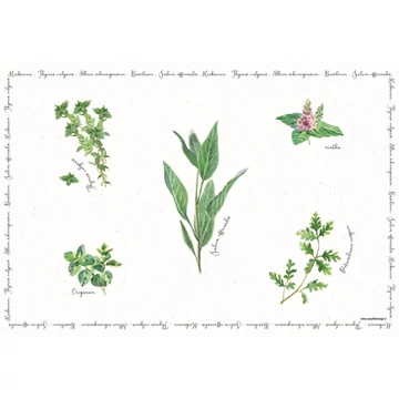 Műanyag tányéralátét 45x30cm,Herbarium, R2S.550HERU