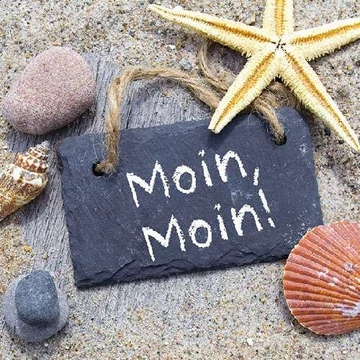 Moin Moin papírszalvéta 33x33cm, 20db-os, AMB.13309980