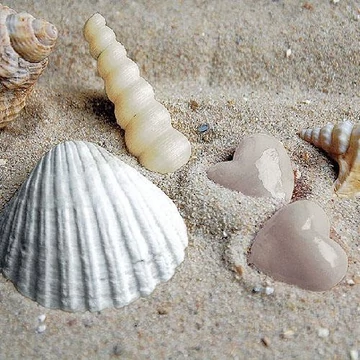 Hearts In Sand papírszalvéta 33x33cm, 20db-os, AMB.13310140
