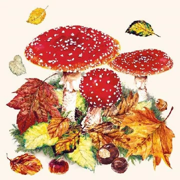 Fly Agaric papírszalvéta 33x33cm,20db-os, AMB.13311025