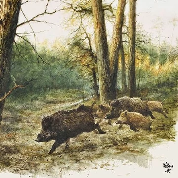 Wild Boars in the Woods papírszalvéta 33x33cm,20db-os, AMB.13311020