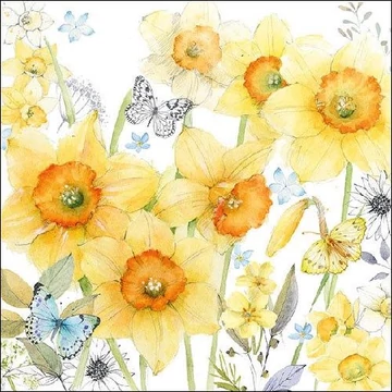 Classic Daffodils papírszalvéta 33x33cm,20db-os, AMB.13312690