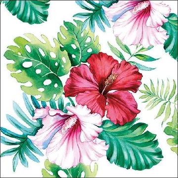 Hibiscus Floral White papírszalvéta 33x33cm,20db-os, AMB.13313145