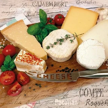 Palette of Cheeses papírszalvéta 33x33cm,20db-os, AMB.13312935