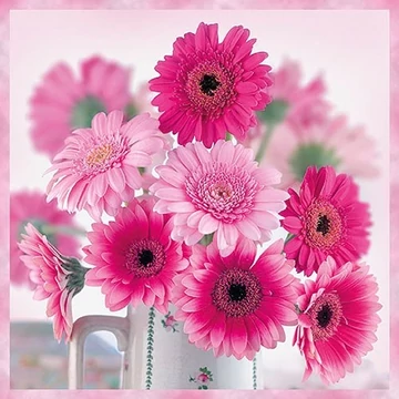 Pink Gerberas papírszalvéta 33x33cm,20db-os, AMB.13314010