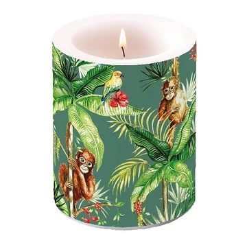 Orangutan Green átvilágítós gyertya 12x10cm, AMB.19114220