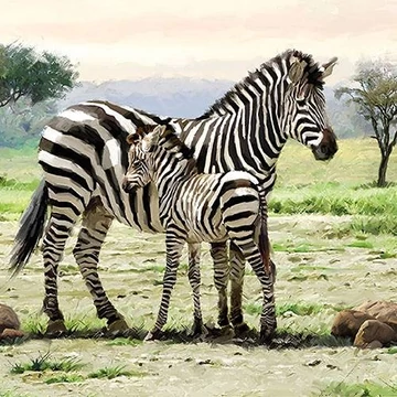 Zebras papírszalvéta 33x33cm,20db-os, AMB.13314065