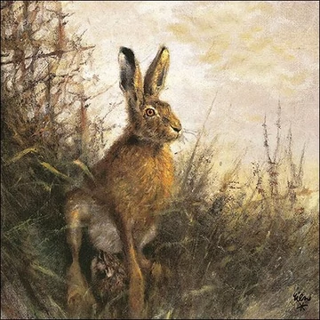 Portrait Of Hare papírszalvéta 33x33cm, 20db-os, AMB.13314425
