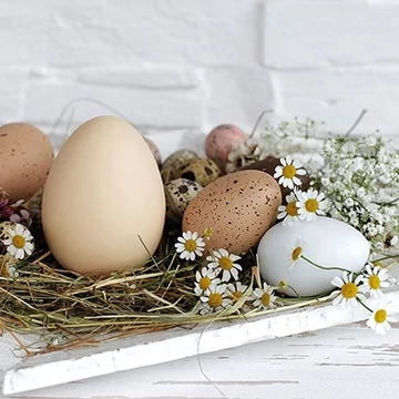 Pastel Eggs papírszalvéta 33x33cm,20db-os, AMB.23314290