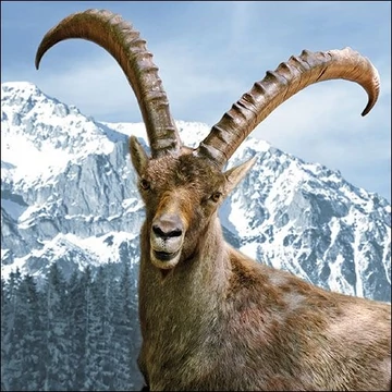 Capra Ibex papírszalvéta 33x33cm, 20db-os, AMB.13314610