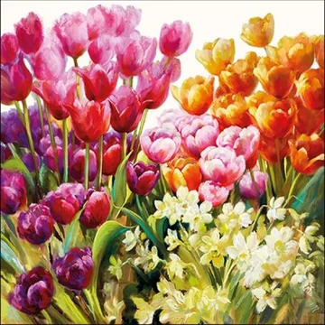 Tulips papírszalvéta 33x33cm, 20db-os, AMB.13314960