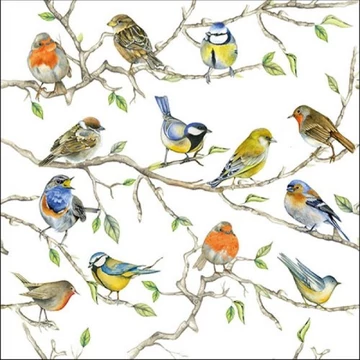 Birds Meeting papírszalvéta 33x33cm, 20db-os, AMB.13314975