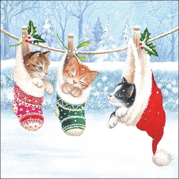 Kitten Winterland papírszalvéta 33x33cm, 20db-os, AMB.33314800 Kitten Winterland papírszalvéta 33x33cm, 20db-os, AMB.33314800