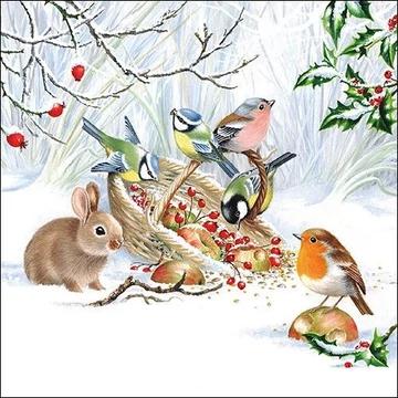 Winter Treat papírszalvéta 33x33cm, 20db-os, AMB.33314660