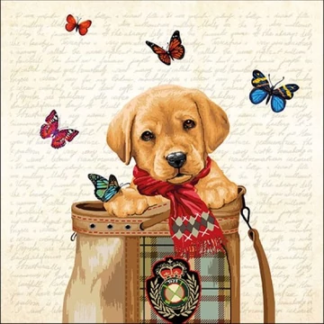 Buddy papírszalvéta 33x33cm,20db-os, AMB.13314905