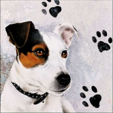 Jack Russel papírszalvéta 33x33cm,20db-os, AMB.13315160