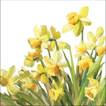 Golden Daffodils papírszalvéta 33x33cm, 20db-os, AMB.13316195