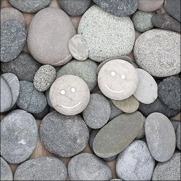 Smile papírszalvéta 33x33cm, 20db-os, AMB.13316080