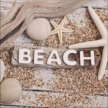 Beach Wood papírszalvéta 33x33cm, 20db-os, AMB.13315885