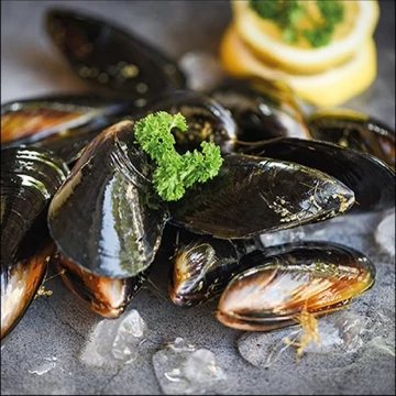 Mussels papírszalvéta 33x33cm, 20db-os, AMB.13316225