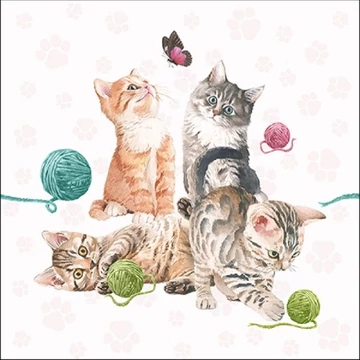 Playing Kitten papírszalvéta 33x33cm,20db-os, AMB.13315980