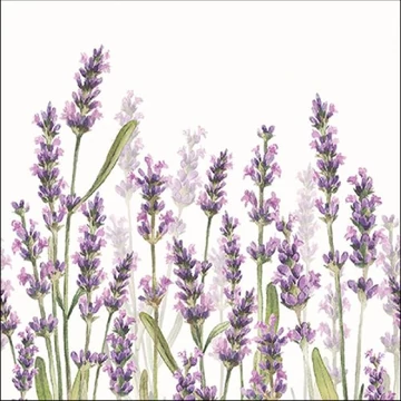 Lavender Shade White papírszalvéta 33x33cm,20db-os, AMB.13315985