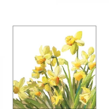 Golden Daffodils papírszalvéta 25x25cm, 20db-os, AMB.12516195