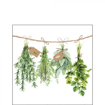 Fresh Herbs papírszalvéta 25x25cm,20db-os, AMB.12516285