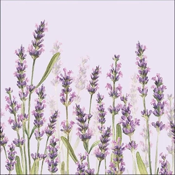 Lavender Shade lila papírszalvéta 33x33cm,20db-os, AMB.13315986