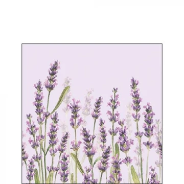 Lavender Shades lila papírszalvéta 25x25cm,20db-os, AMB.12515986