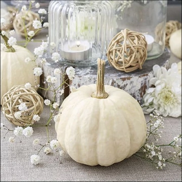 Modern Pumpkin papírszalvéta 33x33cm, 20db-os, AMB.13316740