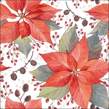 Poinsettia And Berries papírszalvéta 33x33cm, 20db-os, AMB.33316490 Poinsettia And Berries papírszalvéta 33x33cm, 20db-os, AMB.33316490