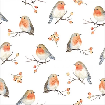 Robin Family papírszalvéta 33x33cm, 20db-os, AMB.33316805 Robin Family papírszalvéta 33x33cm, 20db-os, AMB.33316805