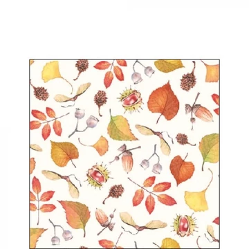 Autumn Details papírszalvéta 25x25cm,20db-os, AMB.12516840