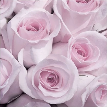 Abby Vintage papírszalvéta 33x33cm,20db-os, AMB.13316351 Abby Vintage papírszalvéta 33x33cm,20db-os, AMB.13316351