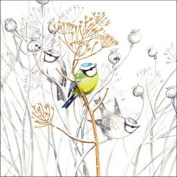 Sweet Little Bird papírszalvéta 33x33cm, 20db-os, AMB.13316705