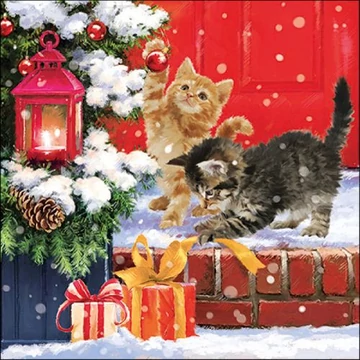 Kittens On Doorstep papírszalvéta 33x33cm, 20db-os, AMB.33316695