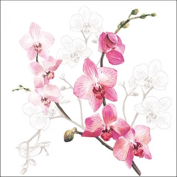 Orchid papírszalvéta 33x33cm, 20db-os, AMB.13317305
