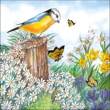 Bird Watching papírszalvéta 33x33cm, 20db-os, AMB.13317010