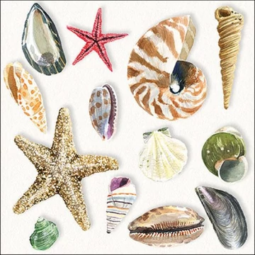 Shells papírszalvéta 33x33cm, 20db-os, AMB.13317390