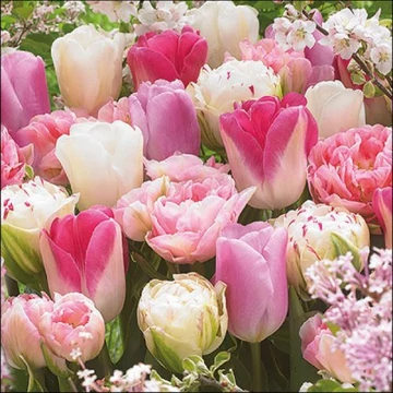 Pink Tulips papírszalvéta 33x33cm, 20db-os, AMB.13317055