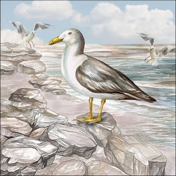 Seagull On The Shore papírszalvéta 33x33cm, 20db-os, AMB.13317415