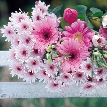 Gerberas papírszalvéta 33x33cm, 20db-os, AMB.13317460 Gerberas papírszalvéta 33x33cm, 20db-os, AMB.13317460